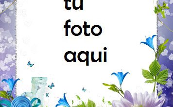 Paraíso De Rosas Azules Y Violetas Marco Para Foto 356x220 - Paraíso De Rosas Azules Y Violetas Marco Para Foto