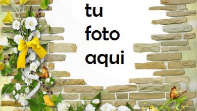 Pared De Rosas Románticas Marco Para Foto 390x220 - Pared De Rosas Románticas Marco Para Foto