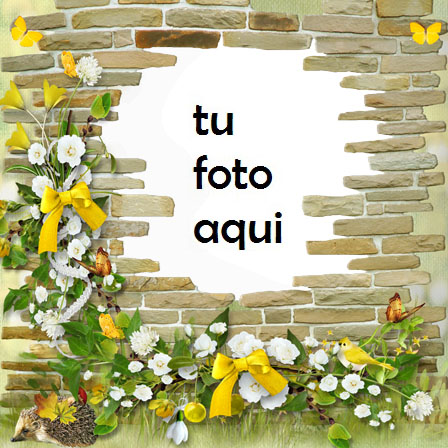 Pared De Rosas Románticas Marco Para Foto - Pared De Rosas Románticas Marco Para Foto