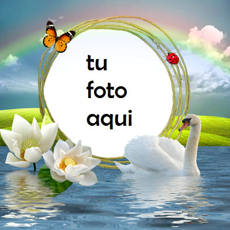 Pelican Amor Romántico Marco Para Foto - Pelican Amor Romántico Marco Para Foto
