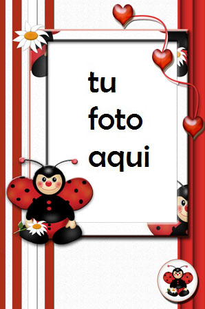 Pequeña Mariposa Amor Marco Para Foto - Pequeña Mariposa Amor Marco Para Foto