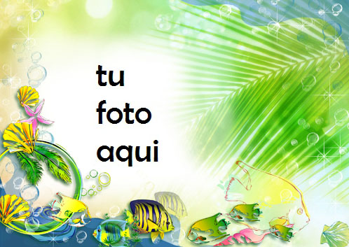 Pescado Rayado Amarillo Marco Para Foto - Pescado Rayado Amarillo Marco Para Foto
