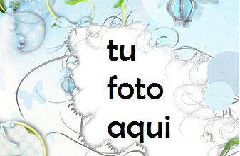 Pájaro Del Amor Marco Para Foto 337x220 - Pájaro Del Amor Marco Para Foto