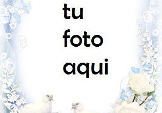 Pájaros Del Amor Para El Compromiso Y El Matrimonio Marco Para Foto 316x220 - Pájaros Del Amor Para El Compromiso Y El Matrimonio Marco Para Foto