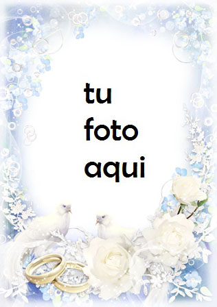 Pájaros Del Amor Para El Compromiso Y El Matrimonio Marco Para Foto - Pájaros Del Amor Para El Compromiso Y El Matrimonio Marco Para Foto