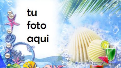 Resort Familiar Marco Para Foto 390x220 - Resort Familiar Marco Para Foto