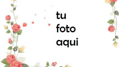Rodeado De Rosas Marco Para Foto 390x220 - Rodeado De Rosas Marco Para Foto
