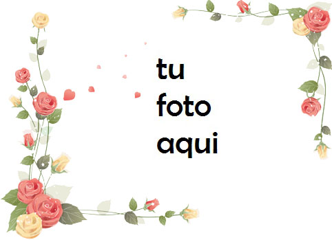 Rodeado De Rosas Marco Para Foto - Rodeado De Rosas Marco Para Foto