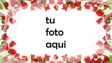Rodeado De Rosas Pintura Marco Para Foto 390x220 - Rodeado De Rosas Pintura Marco Para Foto