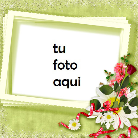 Románticas Rosas Rojas Y Blancas Marco Para Foto - Románticas Rosas Rojas Y Blancas Marco Para Foto
