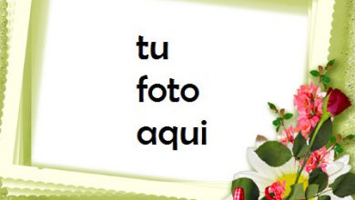 Románticas Rosas Rojas Y Blancas Marco Para Foto 390x220 - Románticas Rosas Rojas Y Blancas Marco Para Foto