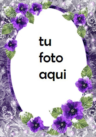 Románticas flores de invierno Marco Para Foto - Románticas flores de invierno Marco Para Foto