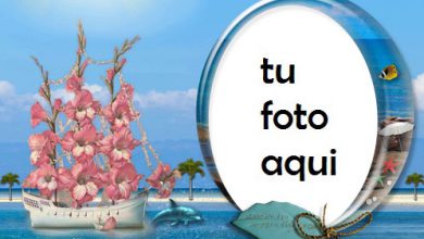 Rosa Y Mar Marco Para Foto 390x220 - Rosa Y Mar Marco Para Foto