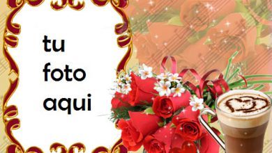 Rosa roja del amor Marco Para Foto 390x220 - Rosa roja del amor Marco Para Foto