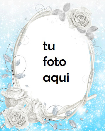 Rosas Blancas Marco Para Foto - Rosas Blancas Marco Para Foto