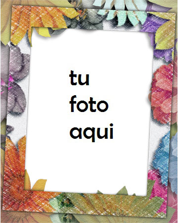 Rosas De Colores Marco Para Foto - Rosas De Colores Marco Para Foto