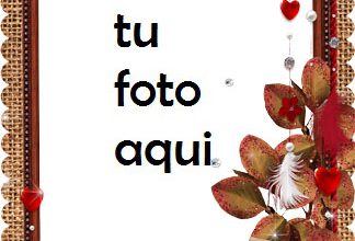 Rosas Perfumadas Románticas Marco Para Foto 324x220 - Rosas Perfumadas Románticas Marco Para Foto