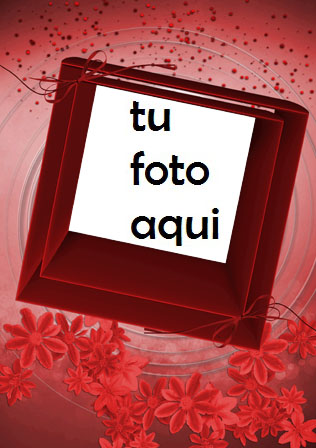 Rosas Rojas Adornan El Marco Del Día De San Valentín Marco Para Foto - Rosas Rojas Adornan El Marco Del Día De San Valentín Marco Para Foto