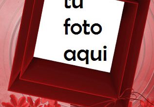 Rosas Rojas Adornan El Marco Del Día De San Valentín Marco Para Foto 316x220 - Rosas Rojas Adornan El Marco Del Día De San Valentín Marco Para Foto