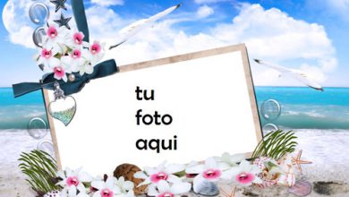 Rosas Y Flores Junto Al Mar Marco Para Foto 390x220 - Rosas Y Flores Junto Al Mar Marco Para Foto