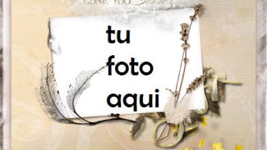 Se Fue Con El Viento Marco Para Foto 390x220 - Se Fue Con El Viento Marco Para Foto