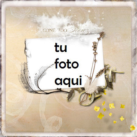 Se Fue Con El Viento Marco Para Foto - Se Fue Con El Viento Marco Para Foto