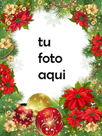 Se Levanta La Estrella De Navidad Marco Para Foto - Se Levanta La Estrella De Navidad Marco Para Foto