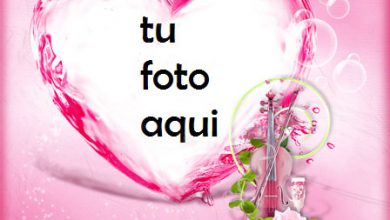 Se elevó al corazón rojo más hermoso con gran amor Marco Para Foto 390x220 - Se elevó al corazón rojo más hermoso con gran amor Marco Para Foto