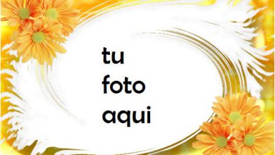 Soleada Marco Para Foto 390x220 - Soleada Marco Para Foto