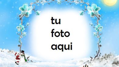 Soleado Día De Navidad Marco Para Foto 390x220 - Soleado Día De Navidad Marco Para Foto
