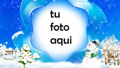 Sueño De Invierno Marco Para Foto 390x220 - Sueño De Invierno Marco Para Foto