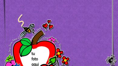 Te Amo Página De Chatarra Marco Para Foto 390x220 - Te Amo Página De Chatarra Marco Para Foto