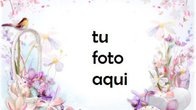 Te Deseo Una Gran Pascua Marco Para Foto 390x220 - Te Deseo Una Gran Pascua Marco Para Foto