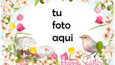 Te Deseo Una Pascua Brillante Y Feliz Marco Para Foto 390x220 - Te Deseo Una Pascua Brillante Y Feliz Marco Para Foto