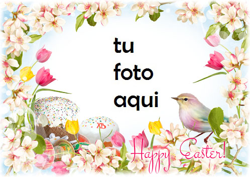 Te Deseo Una Pascua Brillante Y Feliz Marco Para Foto - Te Deseo Una Pascua Brillante Y Feliz Marco Para Foto