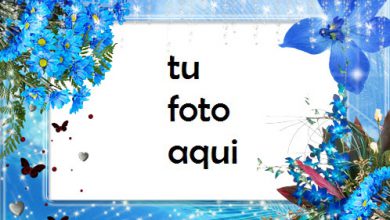 Tiernas Flores Azules Marco Para Foto 390x220 - Tiernas Flores Azules Marco Para Foto