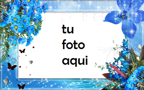 Tiernas Flores Azules Marco Para Foto - Tiernas Flores Azules Marco Para Foto