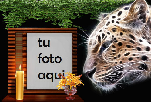 Tigre De La Noche Marco Para Foto - Tigre De La Noche Marco Para Foto