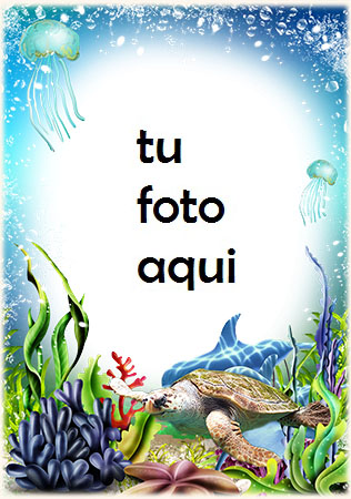 Tortuga Bajo El Agua Marco Para Foto - Tortuga Bajo El Agua Marco Para Foto