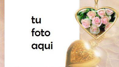 Un Corazon De Oro Marco Para Foto 390x220 - Un Corazon De Oro Marco Para Foto