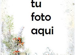 Un Pájaro De Amor Romántico Marco Para Foto 298x220 - Un Pájaro De Amor Romántico Marco Para Foto