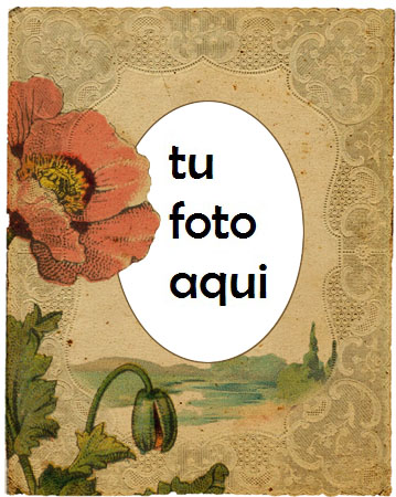 Un momento de amor Marco Para Foto - Un momento de amor Marco Para Foto