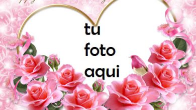 Una Imagen De Una Rosa Rosa Y Tarjetas Rojas Para El Día De San Valentín Marco Para Foto 390x220 - Una Imagen De Una Rosa Rosa Y Tarjetas Rojas Para El Día De San Valentín Marco Para Foto
