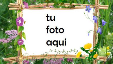Verde Suave Marco Para Foto 390x220 - Verde Suave Marco Para Foto