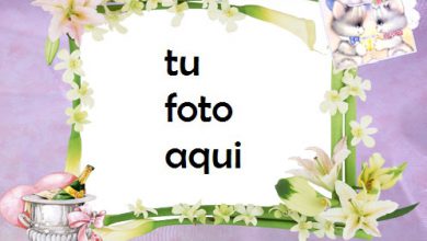 boda marcos Compromiso marco para foto 390x220 - boda marcos Compromiso marco para foto