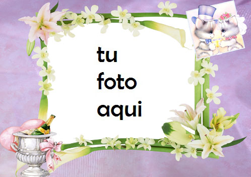boda marcos Compromiso marco para foto - boda marcos Compromiso marco para foto