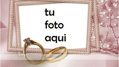 boda marcos El anillo más bello para el matrimonio. marco para foto 390x220 - boda marcos El anillo más bello para el matrimonio. marco para foto