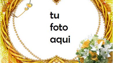 boda marcos La jaula dorada marco para foto 390x220 - boda marcos La jaula dorada marco para foto