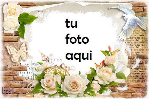 boda marcos Rosas blancas marco para foto - boda marcos Rosas blancas marco para foto