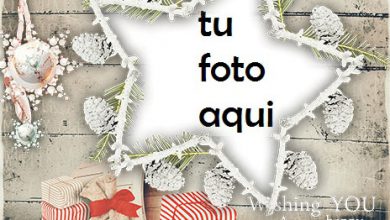 navidad marcos abeto del dragón marco para foto 390x220 - navidad marcos abeto del dragón marco para foto